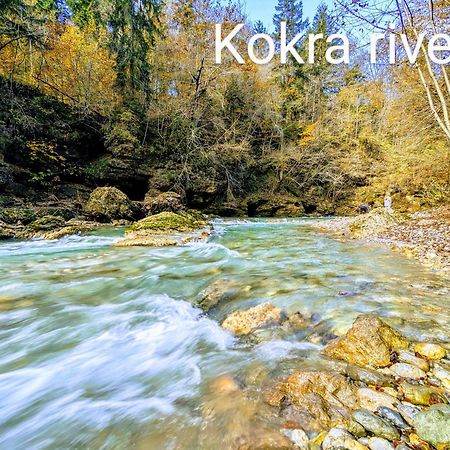 Domen'S Cozy Rentals Kranj Exterior foto