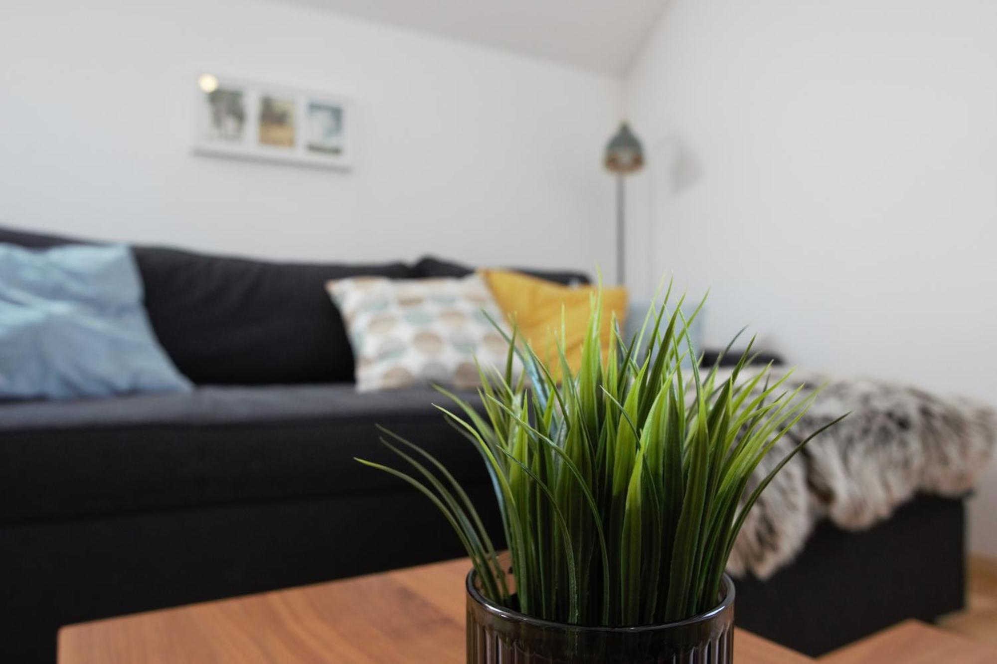 Domen'S Cozy Rentals Kranj Exterior foto
